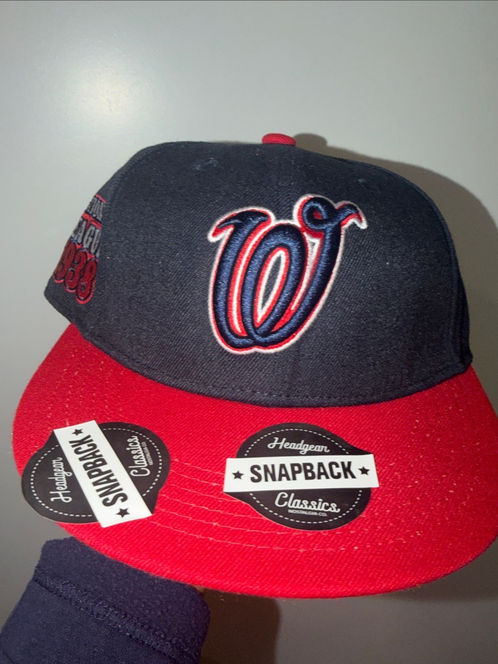 ⚾️✊🏾🧢✊🏾⚾️ Washington Negro League  Kids Snapback Cap